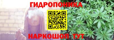 ПСИЛОЦИБИНОВЫЕ ГРИБЫ Гусев