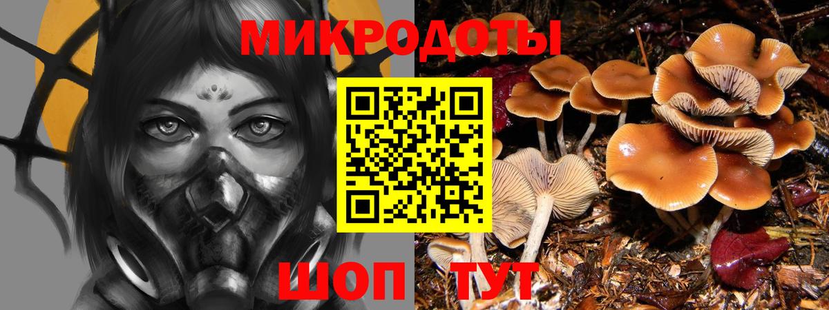 купить наркотик  Псилоцибиновые грибы Psilocybe  Вход с VPN  Можга  Галлюциногенные грибы Magic Shrooms 